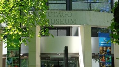 Otago Museum - Tropical Habitat